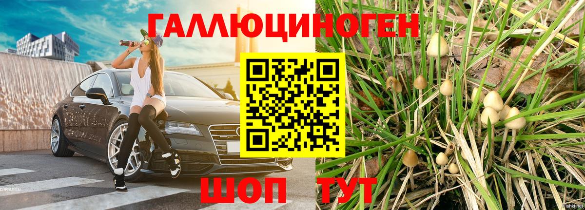 Псилоцибиновые грибы ЛСД Норильск