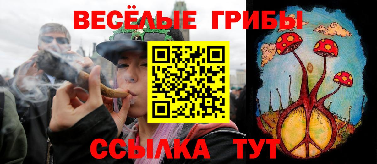 Псилоцибиновые грибы Psilocybe  наркотики  Норильск  Вход с VPN 